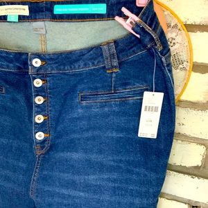Anthropologie plus size jeans new with tags